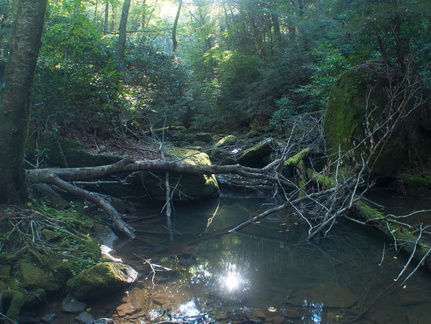 Honey Creek Loop trail-2.jpg
